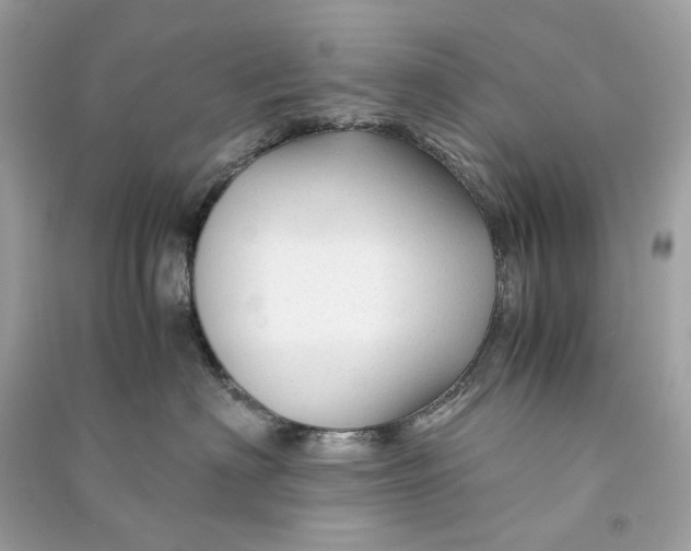 X0000090760622200708101749