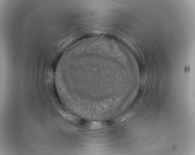 X0000090760623200708101749