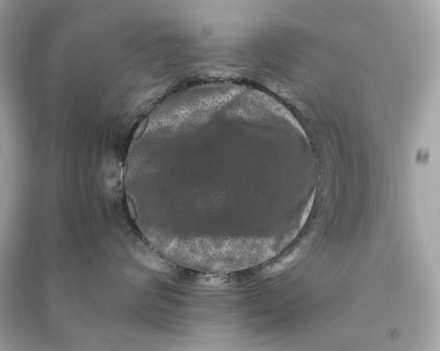 X0000090760624200708101749