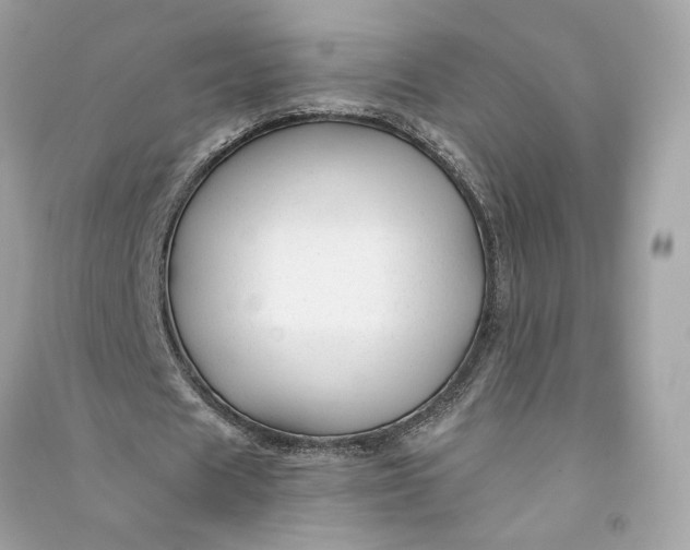 X0000090760625200708101748