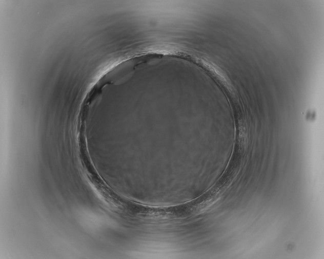 X0000090760626200708101748