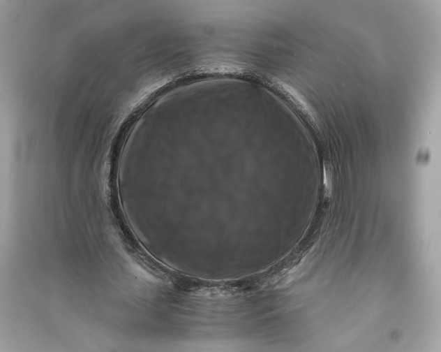 X0000090760627200708101748