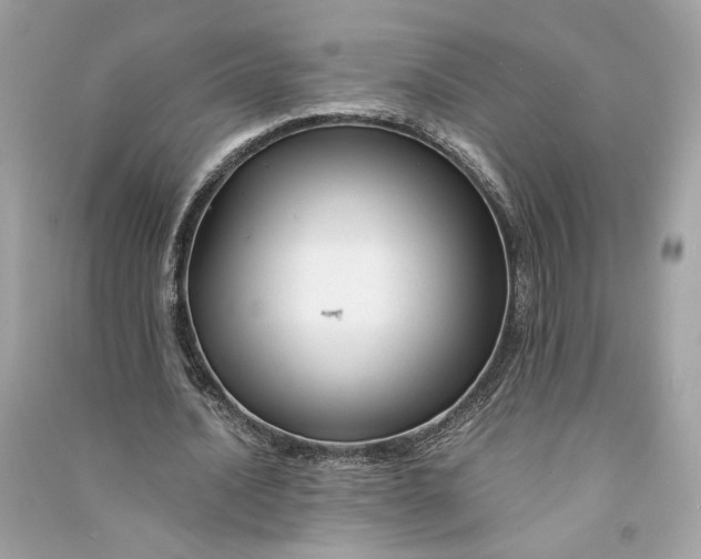 X0000090760628200708101748