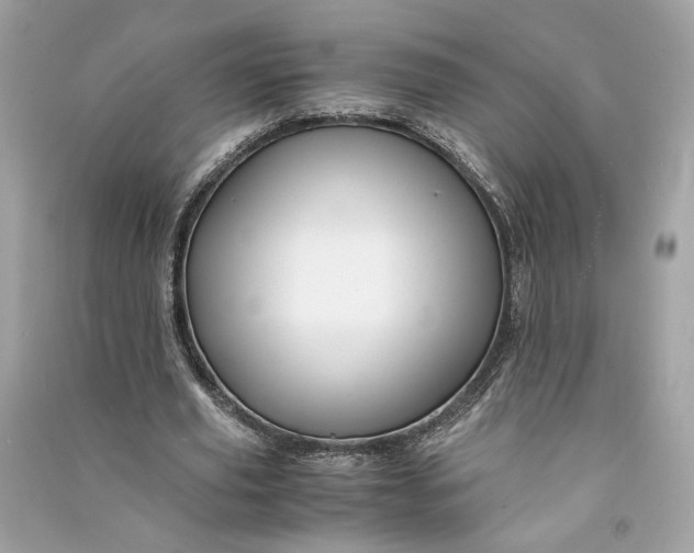 X0000090760629200708101748