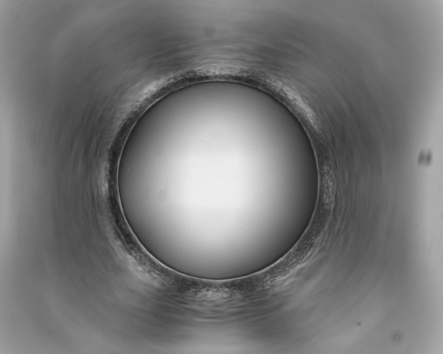 X0000090760631200708101748