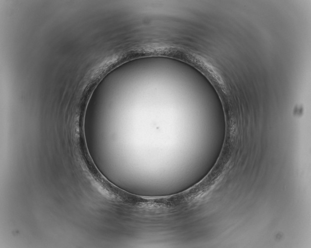 X0000090760633200708101748