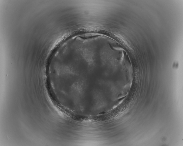 X0000090760634200708101748