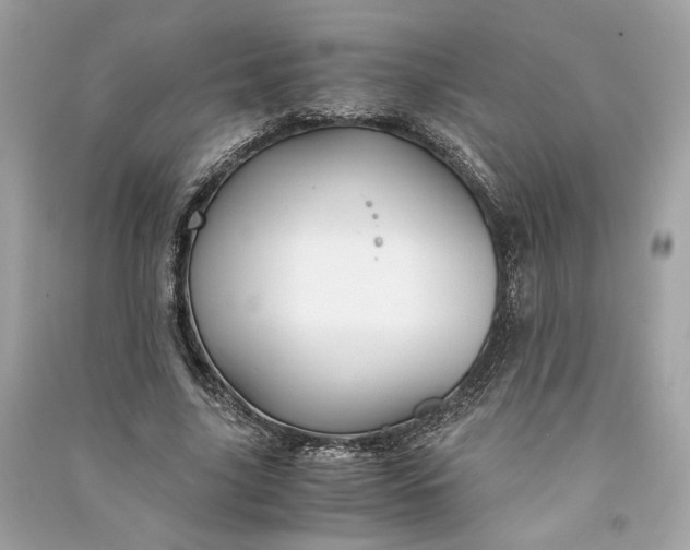 X0000090760635200708101748