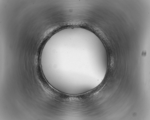 X0000090760636200708101748