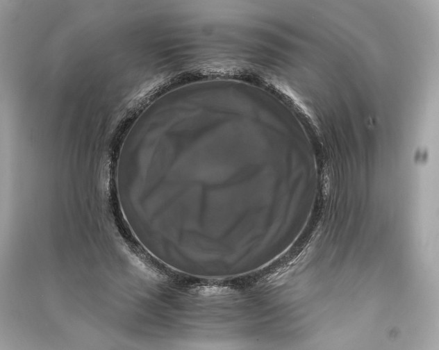 X0000090760637200708101748