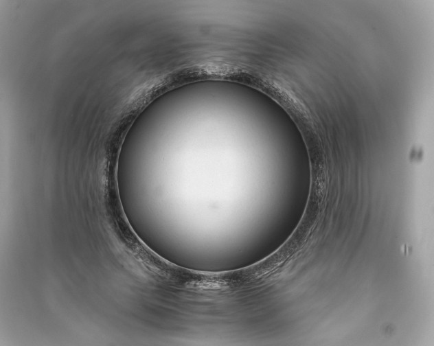 X0000090760639200708101748