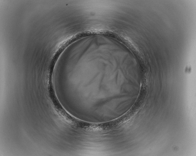 X0000090760640200708101748