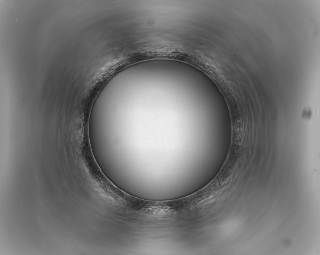 X0000090760642200708101748