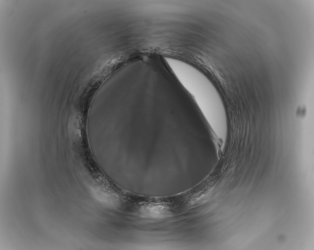 X0000090760643200708101748