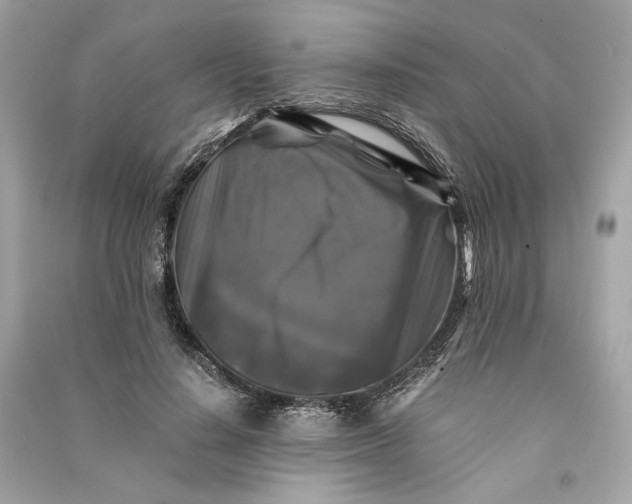 X0000090760644200708101748