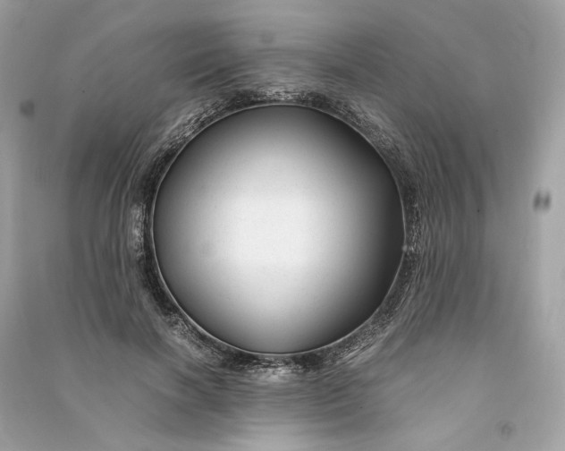 X0000090760646200708101748