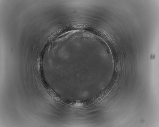 X0000090760647200708101748