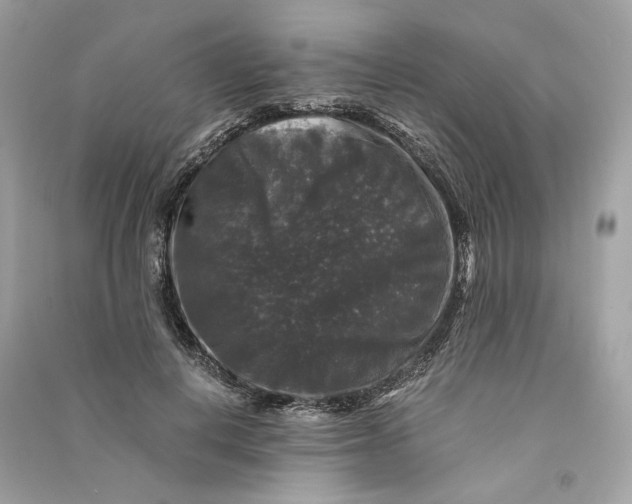 X0000090760648200708101748