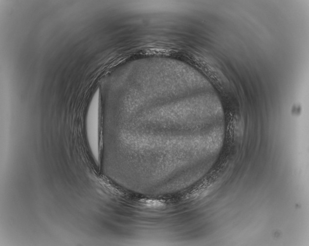 X0000090760649200708101748