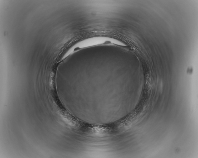 X0000090760650200708101748