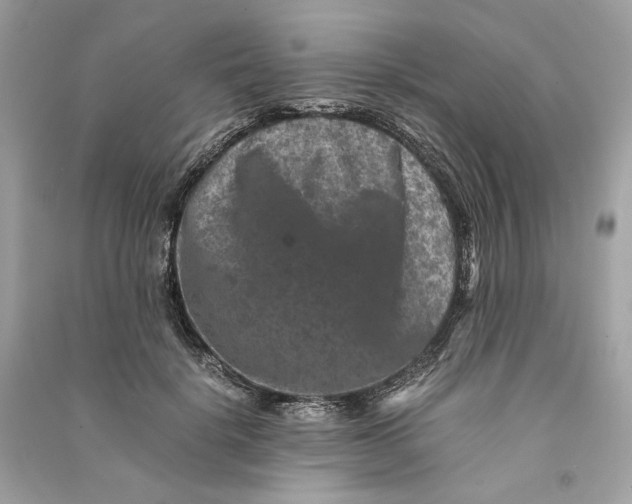 X0000090760652200708101748