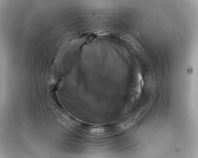 X0000090760653200708101748