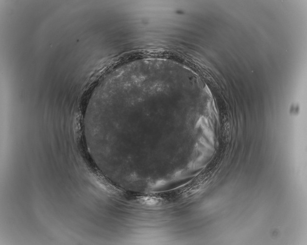 X0000090760654200708101748