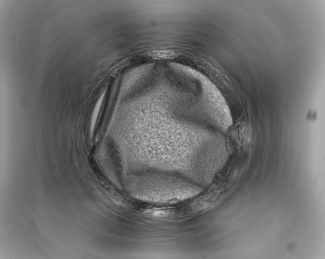 X0000090760655200708101748