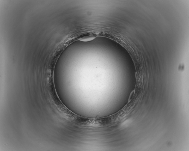 X0000090760656200708101749