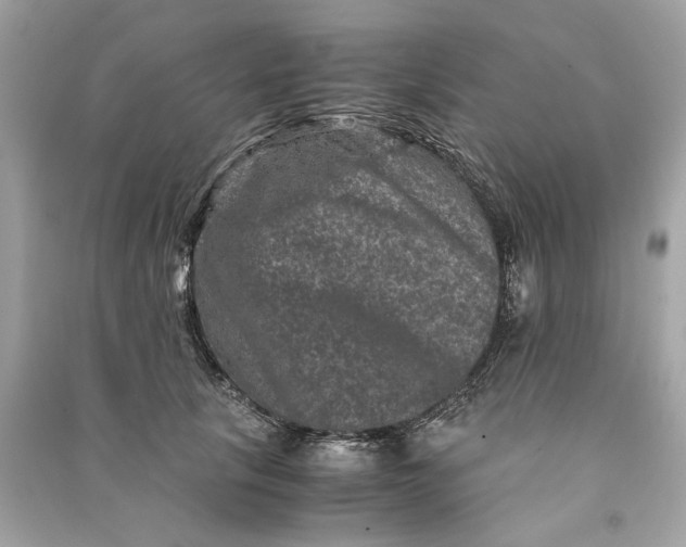 X0000090760657200708101749