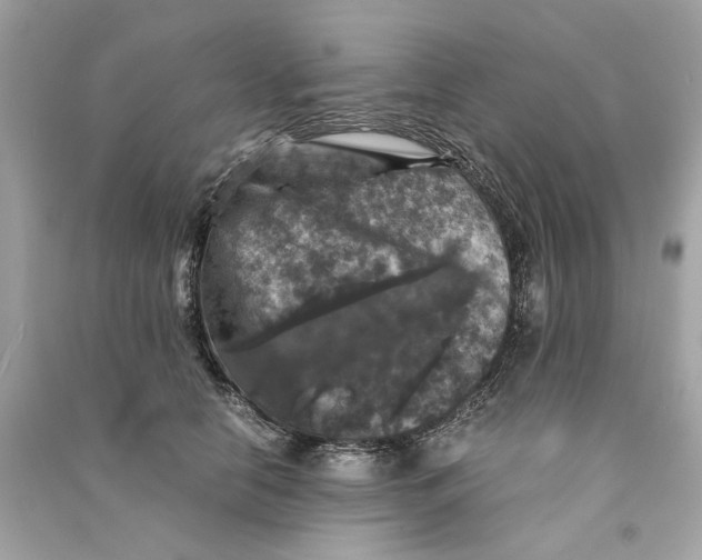 X0000090760658200708101749