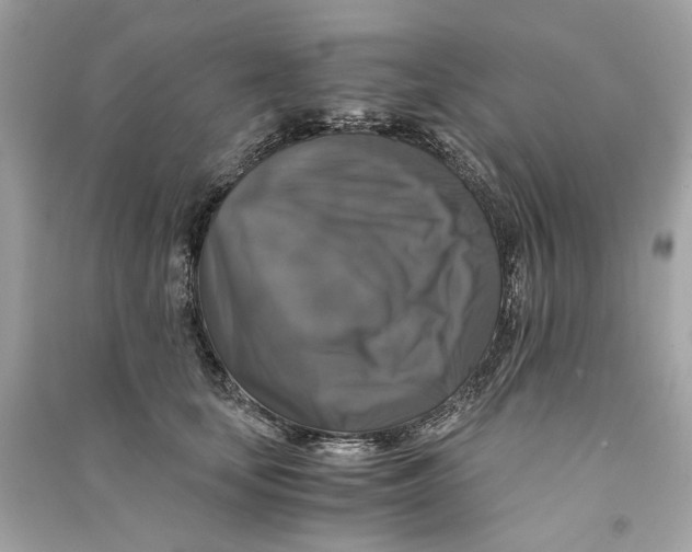 X0000090760659200708101749