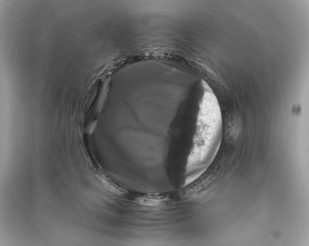 X0000090760661200708101749