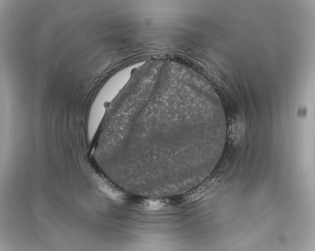 X0000090760662200708101749