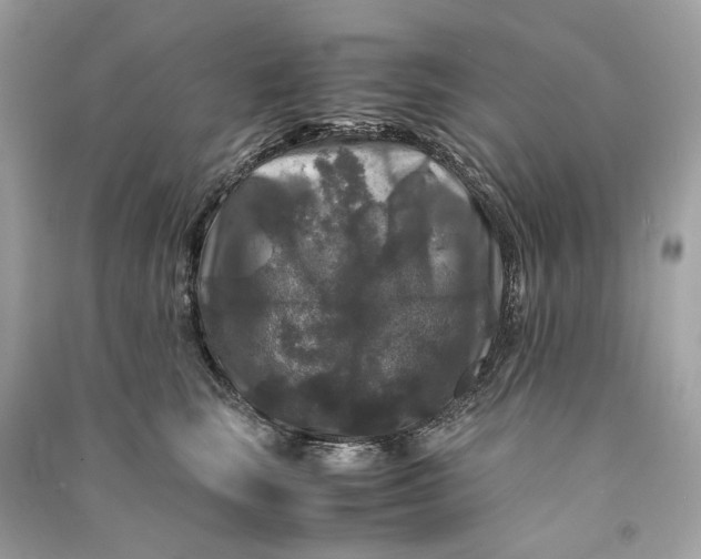 X0000090760663200708101749