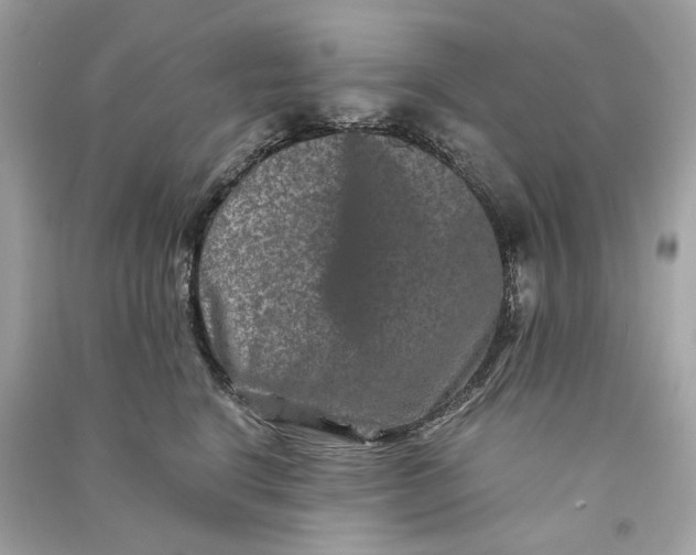 X0000090760664200708101749