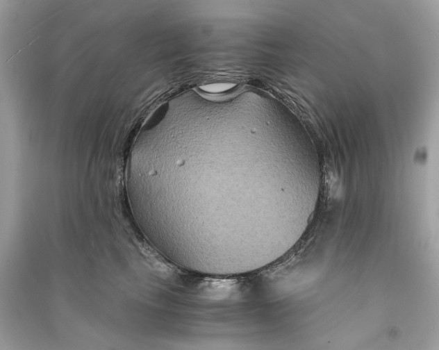 X0000090760665200708101749