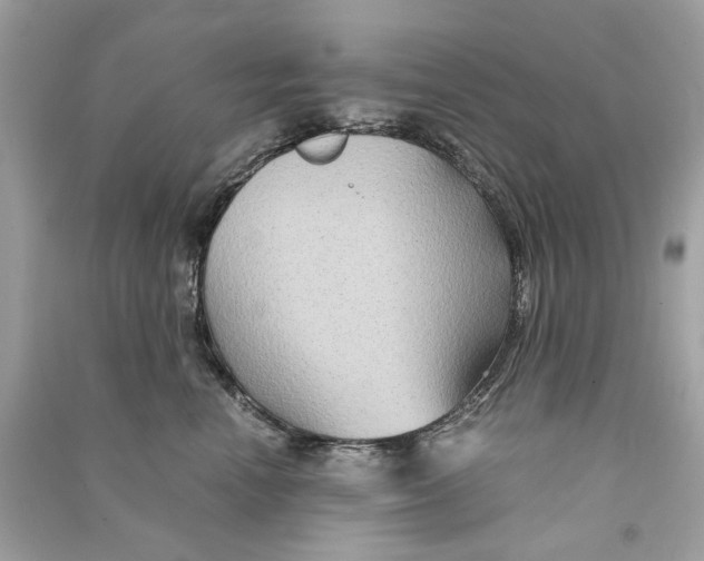 X0000090760666200708101749