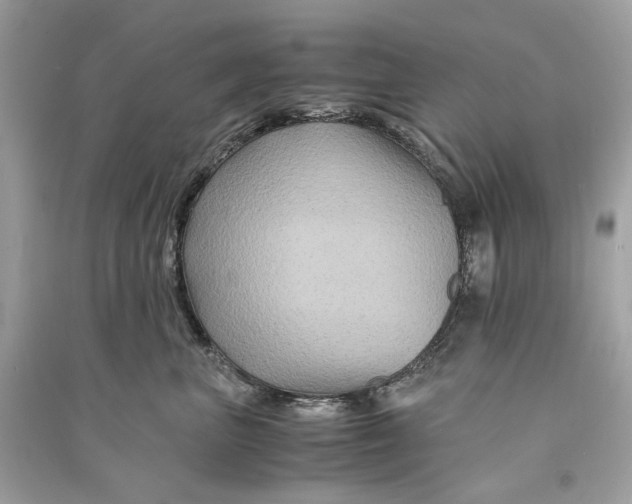 X0000090760667200708101749