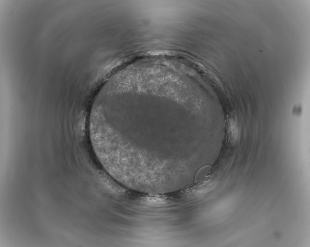 X0000090760668200708101749