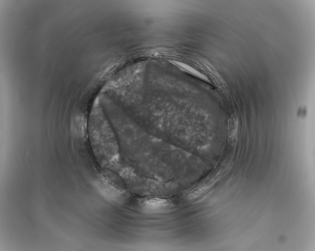 X0000090760669200708101749