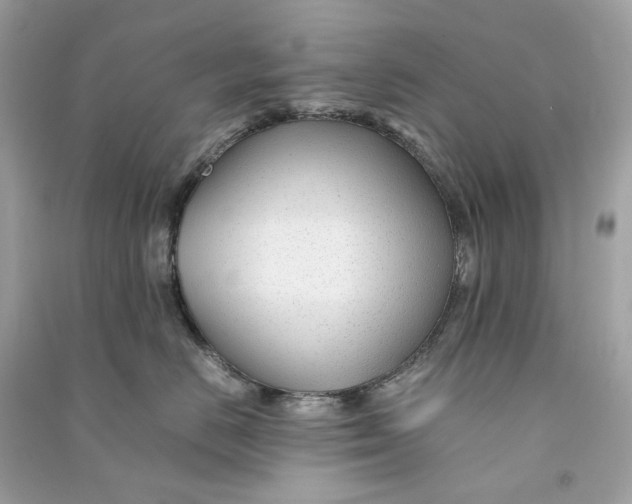 X0000090760670200708101749