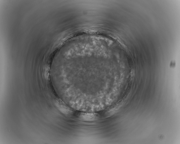 X0000090760671200708101749