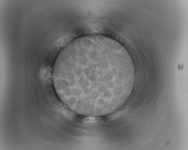 X0000090760672200708101749