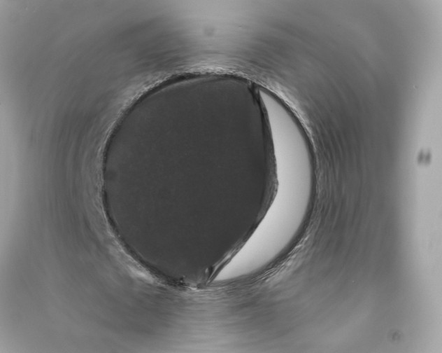 X0000090760673200708101748