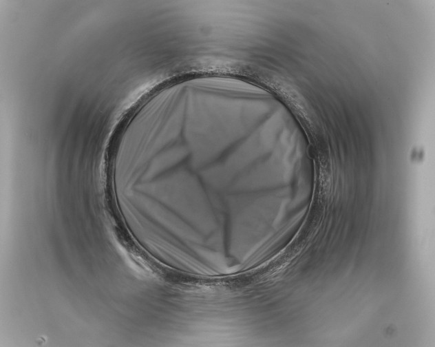 X0000090760674200708101748