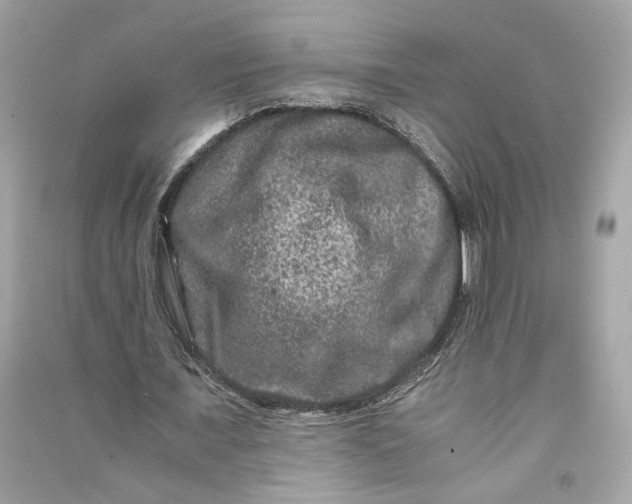 X0000090760675200708101748