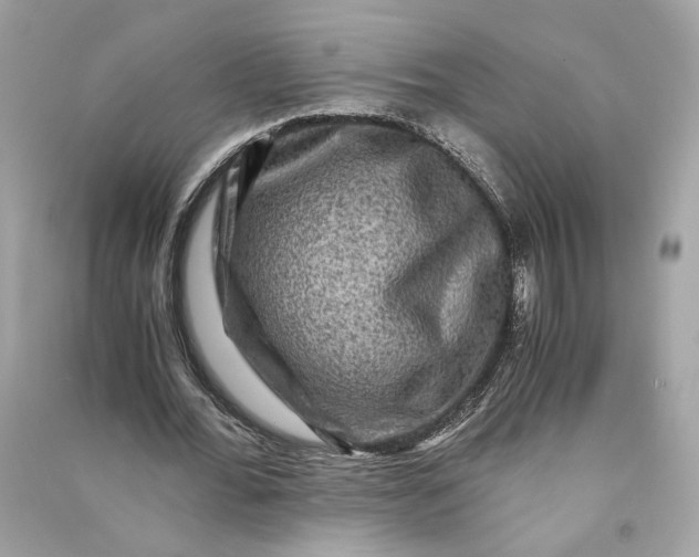 X0000090760676200708101748