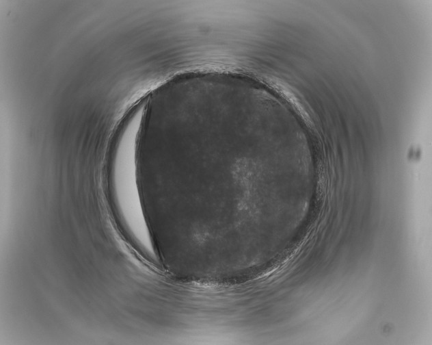 X0000090760677200708101748