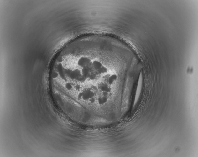 X0000090760679200708101748